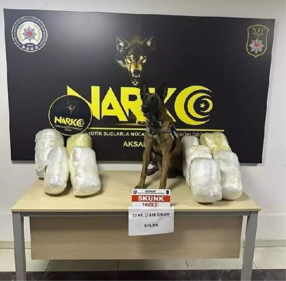 Narkotik Köpeği Bixi'nin Tepki Verdiği Salatalıklar Arasında 22 Kilo Skunk Ele Geçirildi