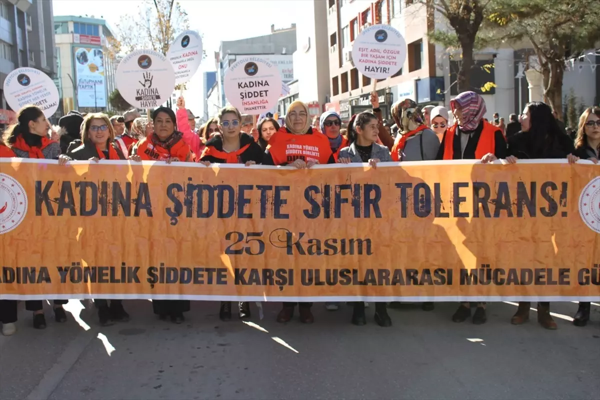 Van'da Kadına Yönelik Şiddete Karşı Yürüyüş Düzenlendi