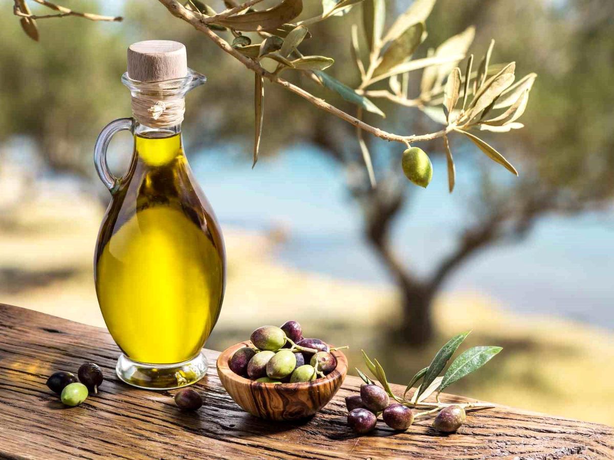 Aydın'ın zeytinyağı ve zeytini İngiltere pazarında tanıtıldı
