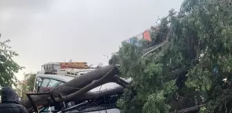 Adana'da Kuvvetli Rüzgar ve Sağanak Sonucu Oluşan Hasarlar