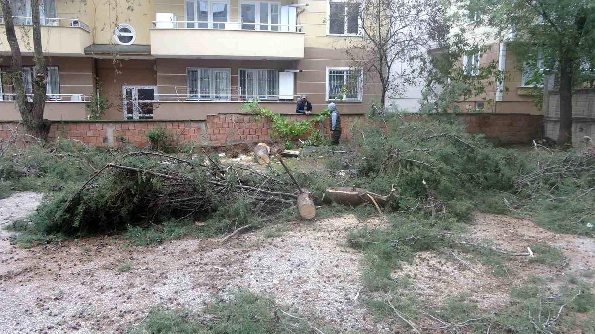Kocaeli'de Şiddetli Rüzgar Sonucu Ağaç 2 Otomobilin Üstüne Devrildi