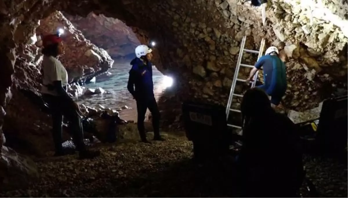 Muğla Kıyılarında Akdeniz Foku İle İlgili Saha Çalışmaları Gerçekleştirildi