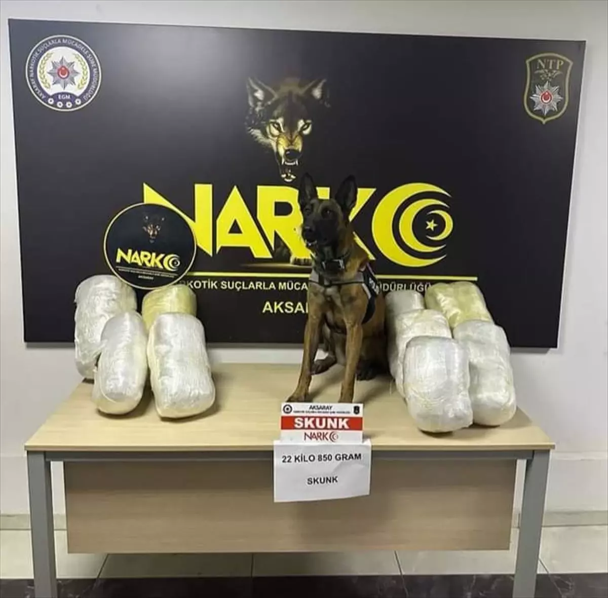 Aksaray'da sebze kasalarında skunk ele geçirildi, sürücü tutuklandı