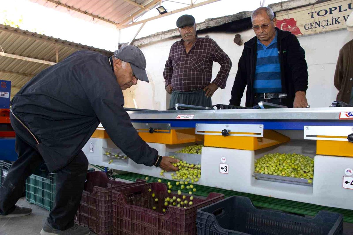 Mersin'de Büyükşehir Belediyesi Zeytin Üreticilerine Makine Desteği Sağlıyor