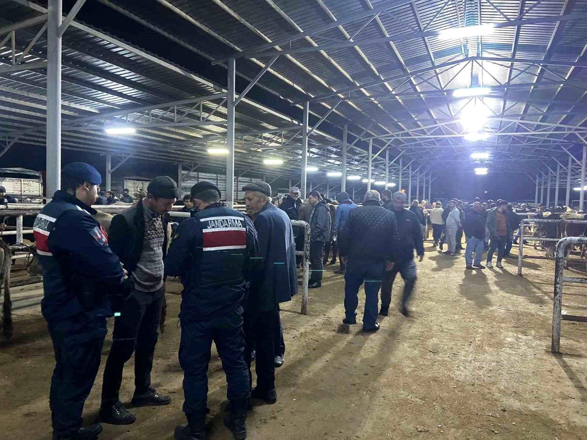 Aydın'da hayvan pazarında denetim gerçekleştirildi
