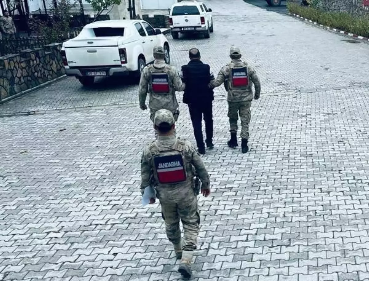 Hakkari'de 100 kişi gözaltına alındı