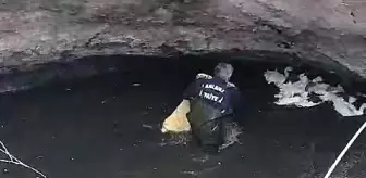 Şanlıurfa'da Sarnıca Düşen Kazlar İtfaiye Tarafından Kurtarıldı