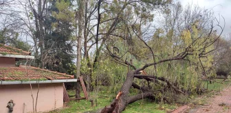 Keşan'da Şiddetli Rüzgar Sonucu Mehmet Gemici Cennet Bahçesi Kapatıldı