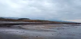 Van Gölü için özel komisyon kuruldu