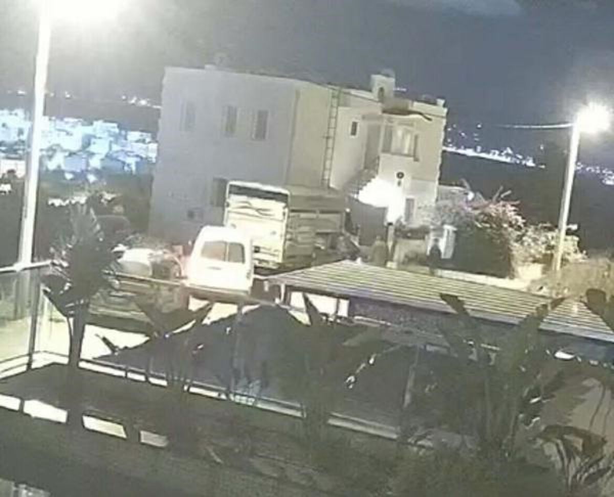 Bodrum'da sokak köpekleri kamyonetle kaçırıldı