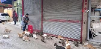 Enkaz kentin sokak hayvanları onu sesinden tanıyor
