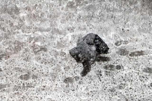 Erzurum'da 3 İlçede Okullar Tatil Edildi Erzurum'da 3 İlçede Okullar Tatil Edildi