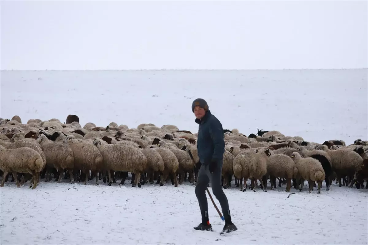 Kars'ta Kar Yağışıyla Zor Anlar Yaşayan Besiciler