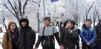 Erzurum'da Kar Yağışı Hayatı Etkiledi