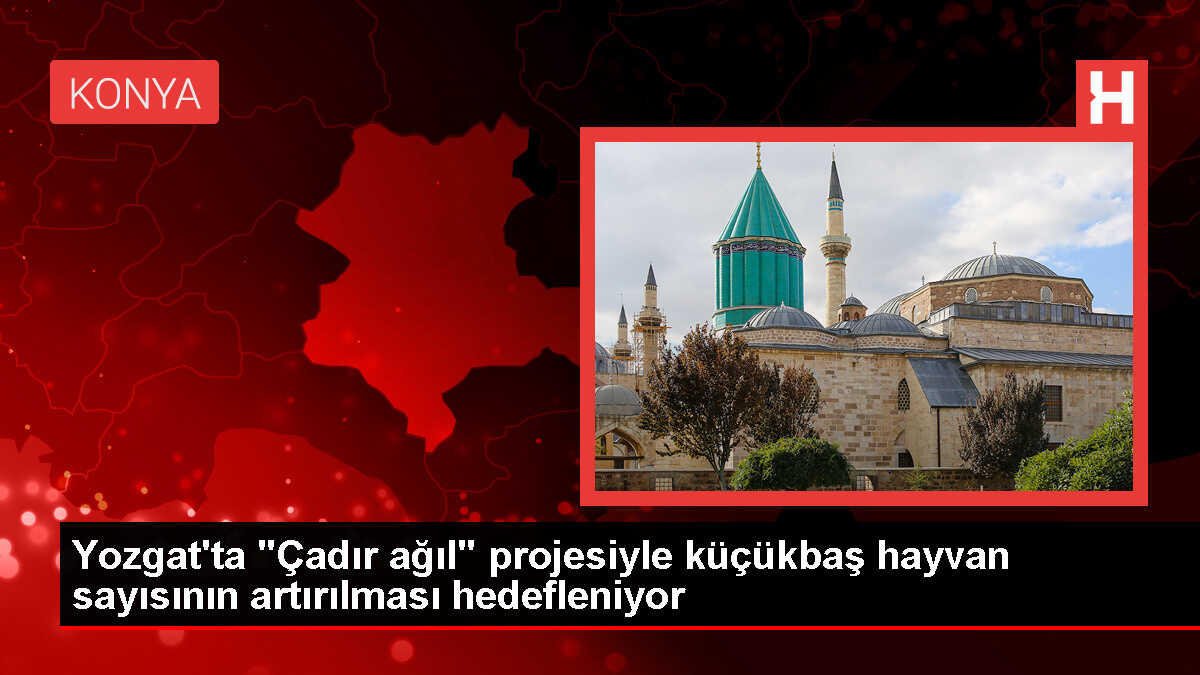 Yozgat'ta 'Çadır ağıl' projesiyle küçükbaş hayvan sayısının artırılması hedefleniyor