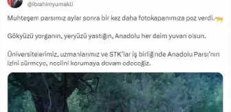 Türkiye'deki Anadolu Parsının Görüntüsü Yeniden Ortaya Çıktı