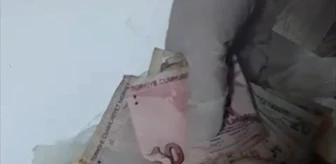 Alanya'da dilencinin lavaşın içine sakladığı para el konuldu
