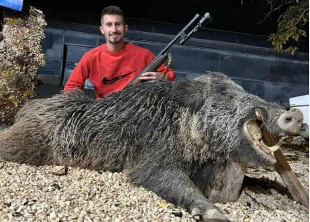 Bahçesine zarar veren 397 kiloluk yaban domuzunu öldürdü: 7-8 senedir peşindeydim Bahçesine zarar veren 397 kiloluk yaban domuzunu öldürdü: 7-8 senedir peşindeydim