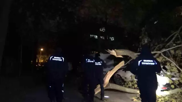 Bursa'da lodos hayatı felç etti! Elektrik direği ve ağaçlar devrildi, 5 ilçede eğitime ara verildi Bursa'da lodos hayatı felç etti! Elektrik direği ve ağaçlar devrildi, 5 ilçede eğitime ara verildi