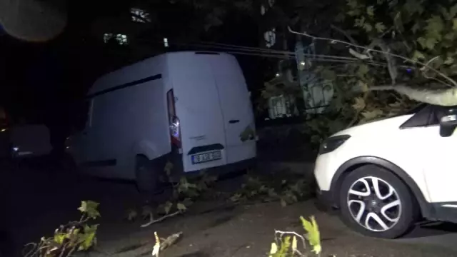 Bursa'da lodos hayatı felç etti! Elektrik direği ve ağaçlar devrildi, 5 ilçede eğitime ara verildi Bursa'da lodos hayatı felç etti! Elektrik direği ve ağaçlar devrildi, 5 ilçede eğitime ara verildi