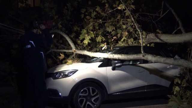 Bursa'da lodos hayatı felç etti! Elektrik direği ve ağaçlar devrildi, 5 ilçede eğitime ara verildi Bursa'da lodos hayatı felç etti! Elektrik direği ve ağaçlar devrildi, 5 ilçede eğitime ara verildi