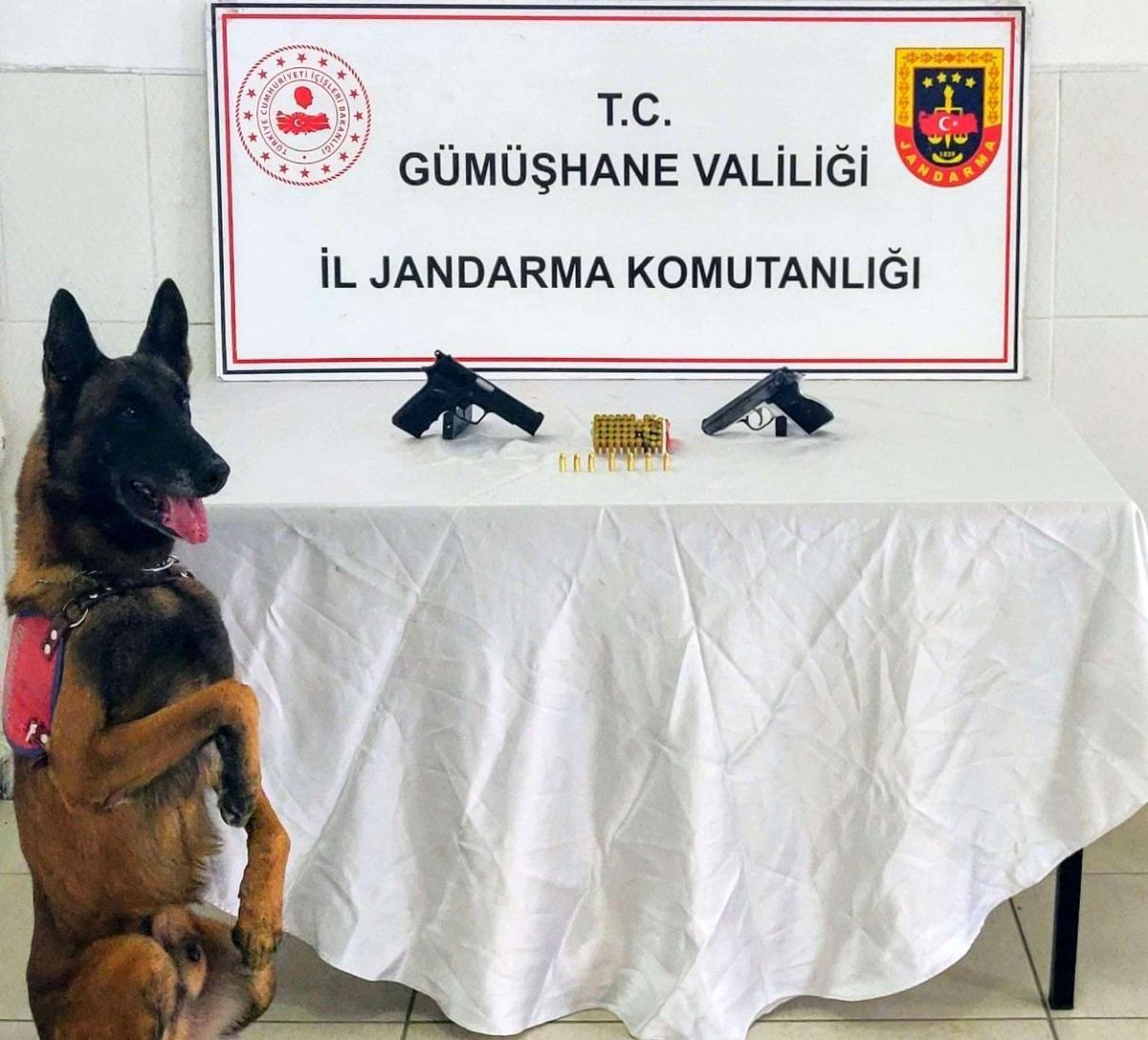 Gümüşhane'de Ruhsatsız Tabanca ve Kaçak Alkol Operasyonu: İki Kişi Yakalandı