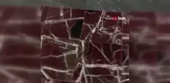 Kocaeli Üniversitesi Eğitim ve Araştırma Hastanesi'nde köpek dışkıları tedirginlik yaratıyor