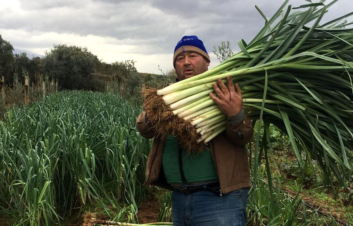 Atalık tohumlarla sebze üretimine başlayan çiftçi