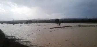 Çanakkale'nin Yenice ilçesinde sağanak yağış tarım arazilerine zarar verdi