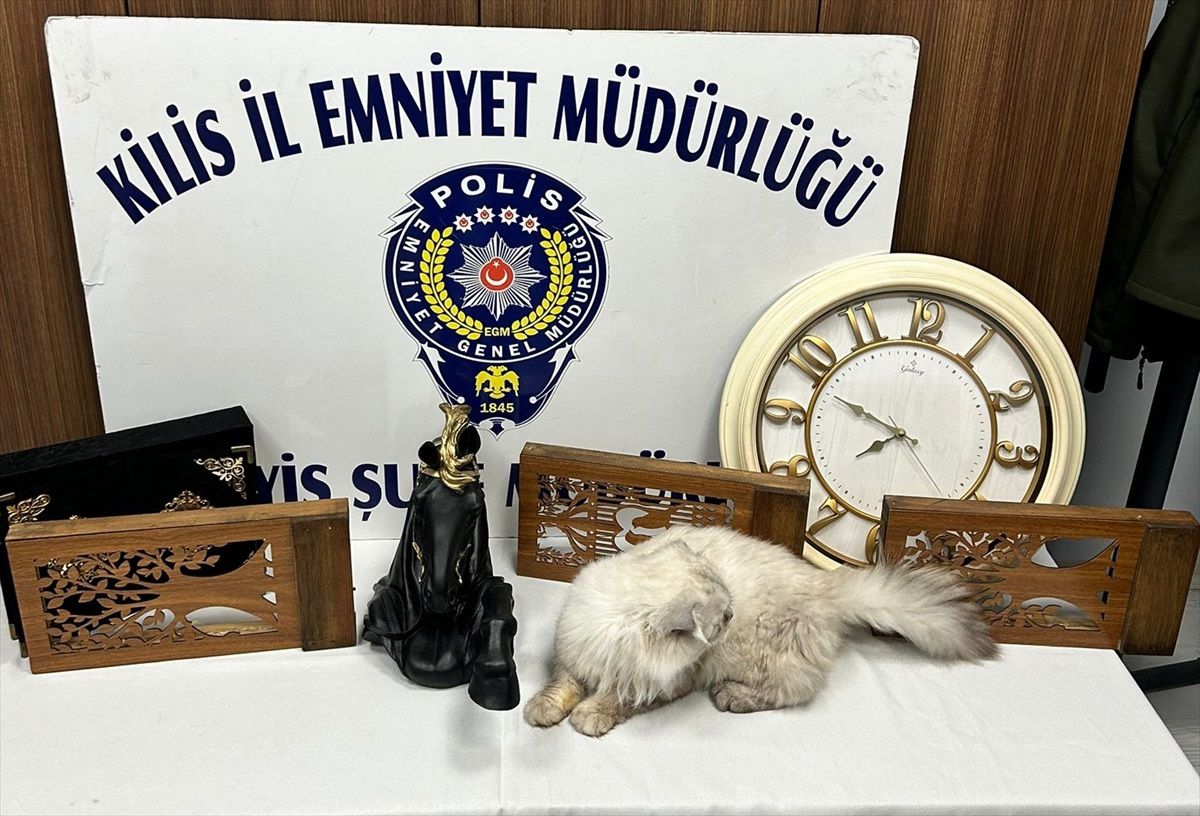 Kilis'te düzenlenen hırsızlık operasyonunda 15 şüpheli gözaltına alındı