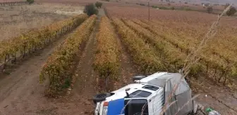 Manisa'da kamyonet üzüm bağına devrildi, 5 kişi yaralandı