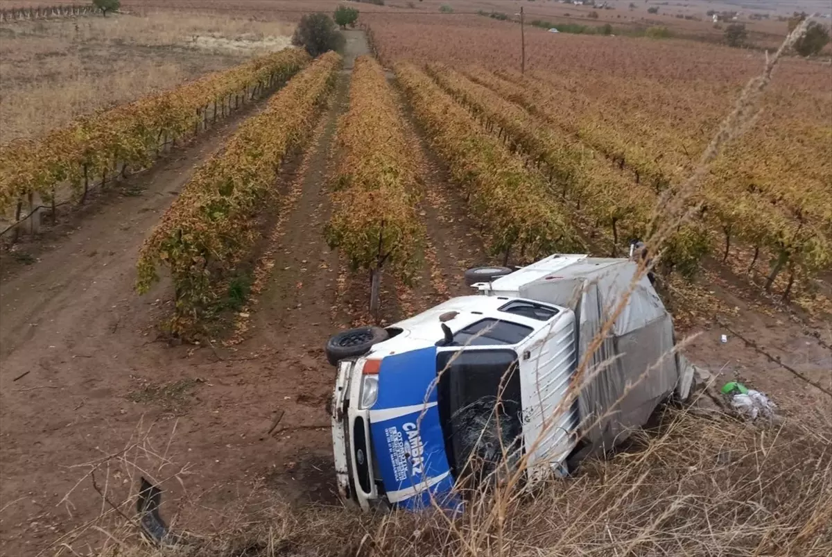 Manisa'da kamyonet üzüm bağına devrildi, 5 kişi yaralandı