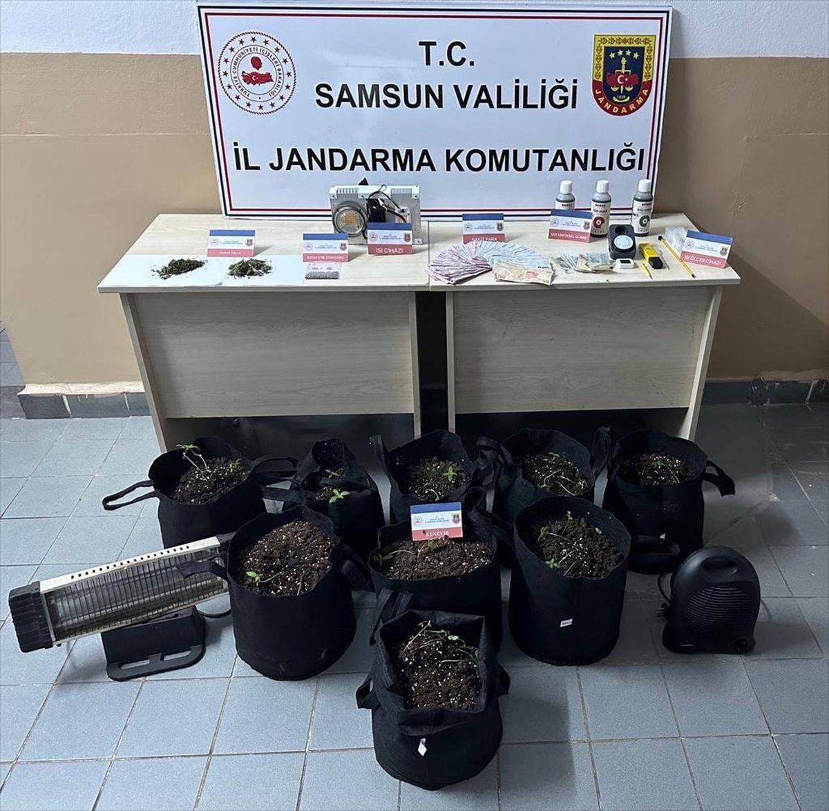 Samsun'da Kenevir Yetiştiricisi Şüpheli Gözaltına Alındı