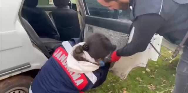 48 ilde Narkogüç-38 operasyonu: 6 tondan fazla uyuşturucu ele geçirildi, 391 zehir taciri yakalandı 48 ilde Narkogüç-38 operasyonu: 6 tondan fazla uyuşturucu ele geçirildi, 391 zehir taciri yakalandı