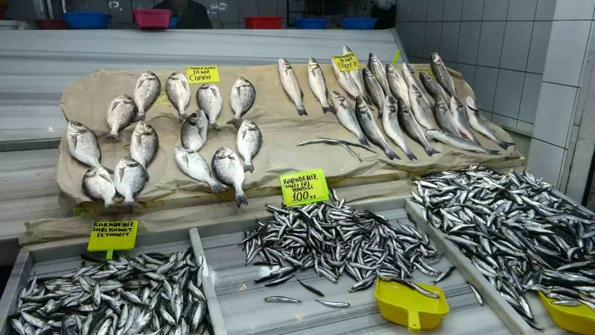 Balıkesir'de Hamsi Fiyatları 100 TL'ye Ulaştı