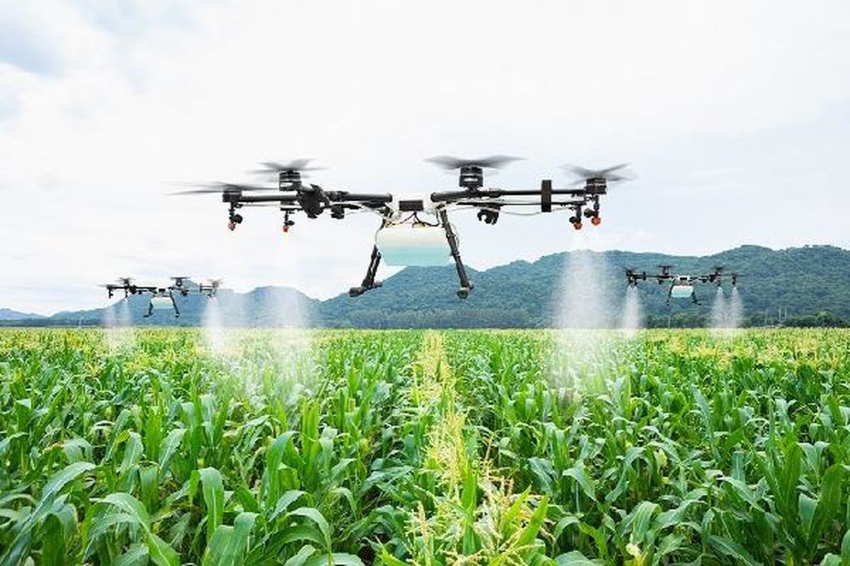 Dronelar Tarım Sektöründe Verimliliği Artırıyor