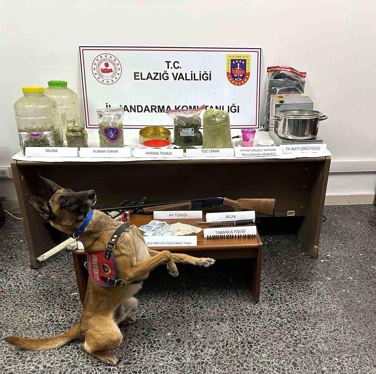 Elazığ'da Uyuşturucu Operasyonu: 6,5 Kilo Esrar Ele Geçirildi