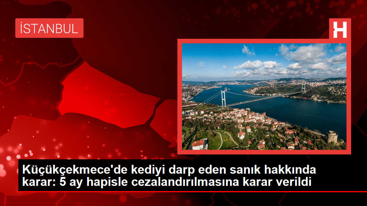 Küçükçekmece'de kediyi darp eden sanık hakkında karar: 5 ay hapisle cezalandırılmasına karar verildi