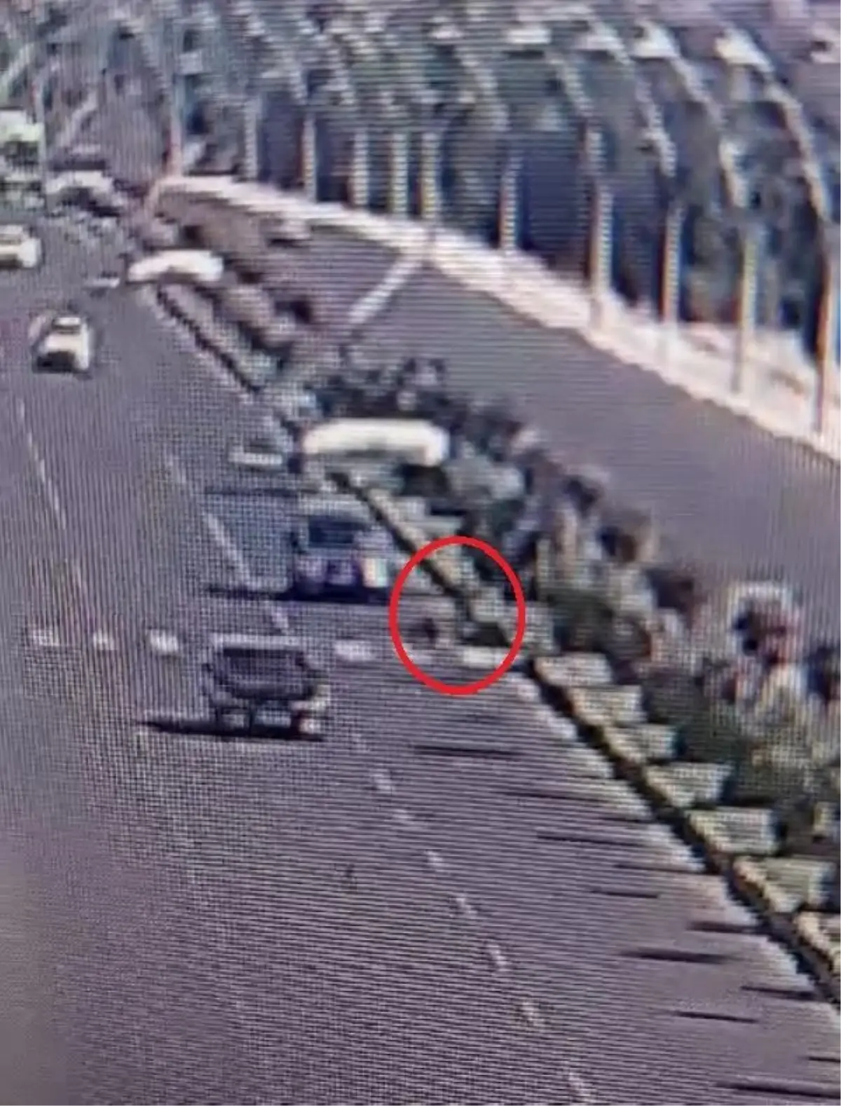 Zonguldak Spor Basket 67 Kadın Basketbol Takımı oyuncusu trafik kazasında hayatını kaybetti