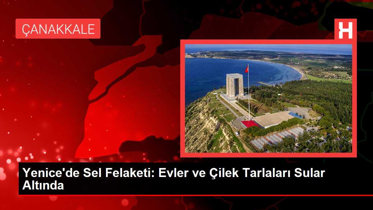 Yenice'de Sel Felaketi: Evler ve Çilek Tarlaları Sular Altında