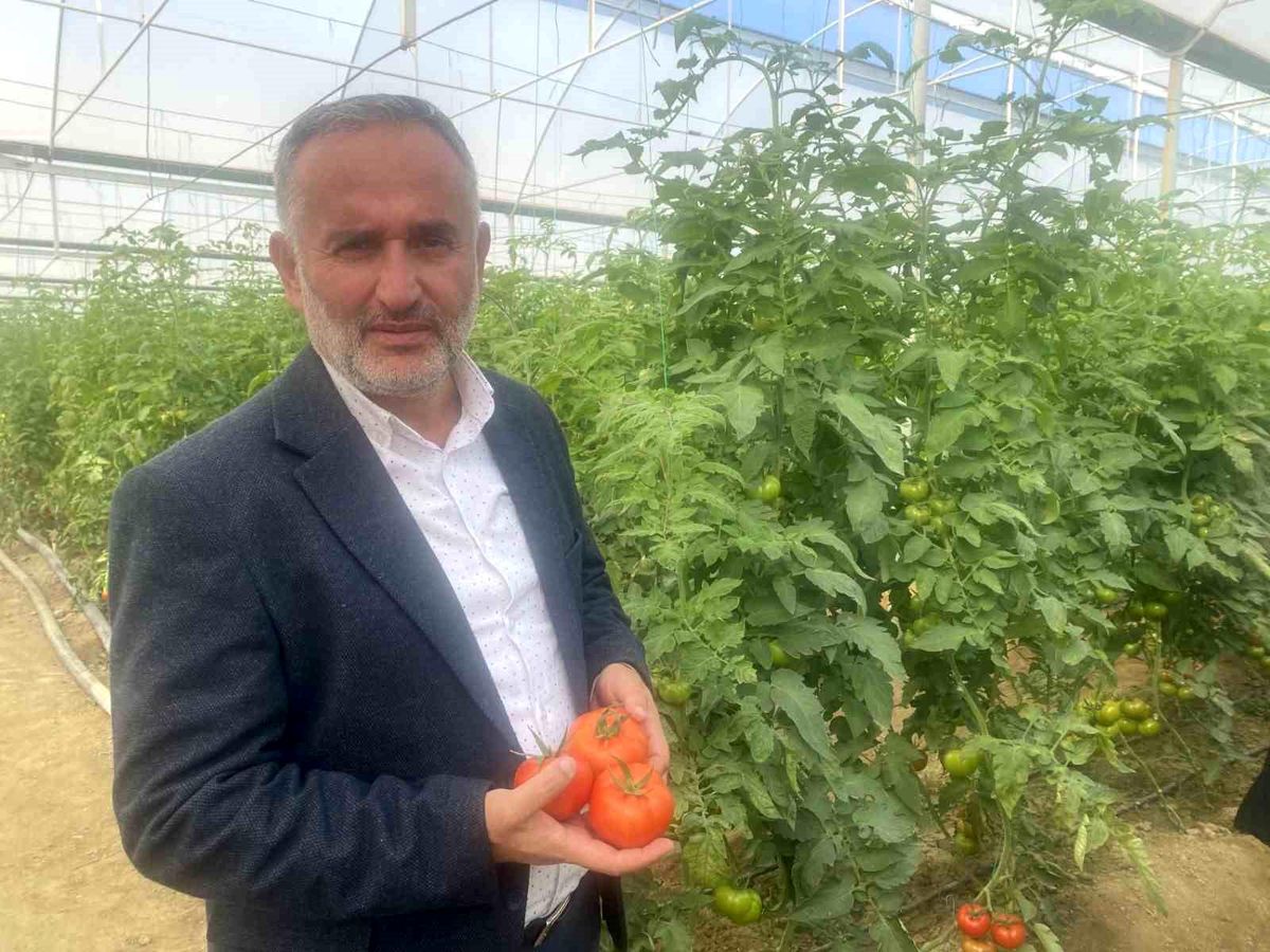Antalyalı Ziraat Yüksek Mühendisi 35 Ülkeye Tohum İhracatı Yapıyor