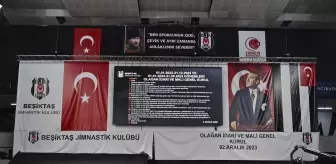 Beşiktaş Kulübü Üyelik Giriş Ücreti ve Yıllık Aidat Artırıldı