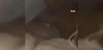 Mehmetçik, teröristlerin mağarasında çok sayıda malzeme ele geçirdi