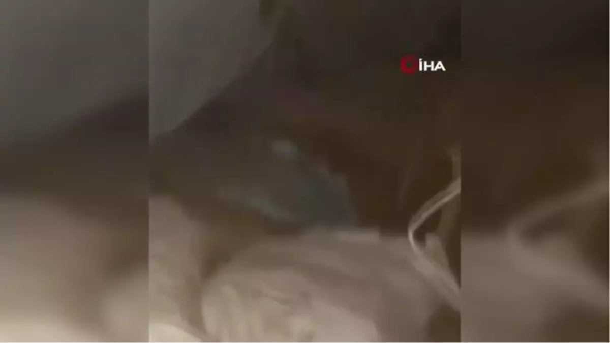 Mehmetçik, teröristlerin mağarasında çok sayıda malzeme ele geçirdi