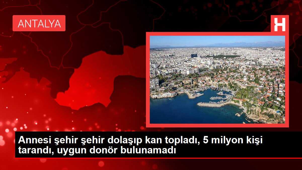 Annesi şehir şehir dolaşıp kan topladı, 5 milyon kişi tarandı, uygun donör bulunamadı