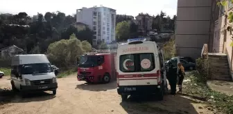 Bilecik'te Otomobil Şarampole Devrildi, 1 Kişi Yaralandı