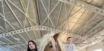 Erzurum'da, engelli çocuklar için 'hipoterapi' etkinliği düzenlendi