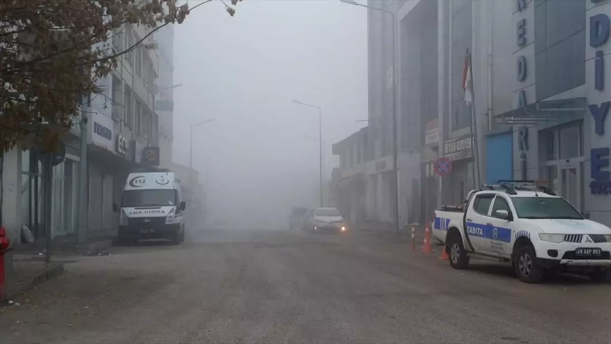 Malazgirt'te sis etkili oldu