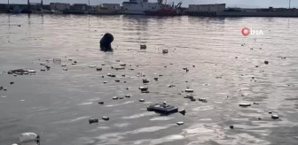 Sinop'ta fırtınada deniz kenarı çöplerle doldu