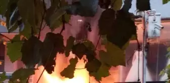 Yalova'da İşletmenin Tandır Bacasında Yangın Çıktı